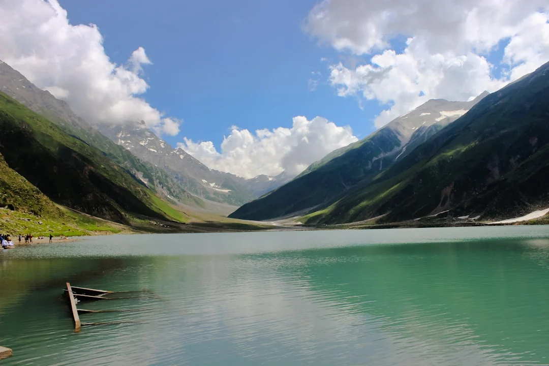 Finding the Best WordPress Website Designer in Pakistan Your Ultimate Guide